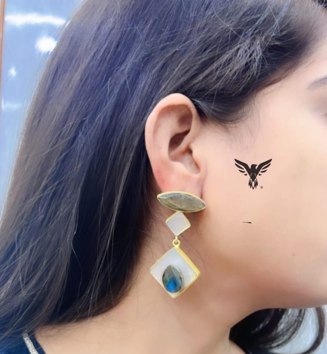 Libni Brown Duzy Earring For Women