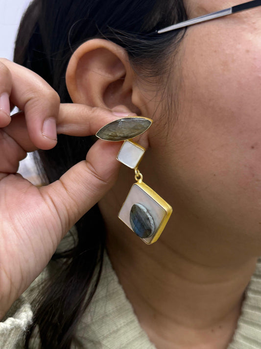Libni Brown Duzy Earring For Women